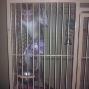 Meet your Posher, Dale